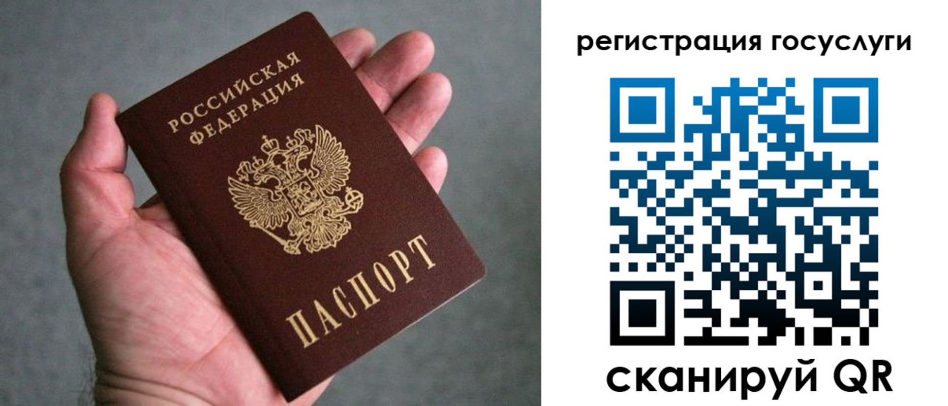 прописка поиск в Завитинске